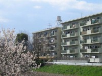 通風・採光・眺望良好！
リバーサイドで四季を感じながら子育てしてみませんか？