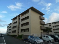 南北両面バルコニーで陽当たり・通風良好です！
13帖のLDKに各居室に収納有り！
第二大山崎小学校まで360ｍ（約5分）でお子様にも安心です！
