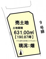 現況は畑で、自家栽培をされている方・したい方にオススメ！
国道９号線沿いで土地１９０．８７坪！八木中ＩＣが車で１分！
資材置き場としてもご検討可能♪