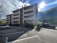 リフォーム歴あり！
南北両面バルコニーにつき日当たり・通風良好！
小学校まで徒歩８分！周辺交通量も少なめでお子様の通学も安心です♪