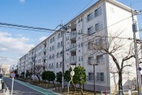 細部までこだわりぬかれたフルリノベーション物件♪
南向きバルコニーで日当たり良好♪
阪急「長岡天神」駅まで徒歩10分！周辺施設も充実！小・中学校まで徒歩圏内で安心！