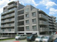 南西向きの最上階のお部屋！陽当たり・眺望良好☆
２０２５年７月リフォーム済み♪
スーパー・コンビニ・ホームセンターなど生活施設が周辺に充実♪
