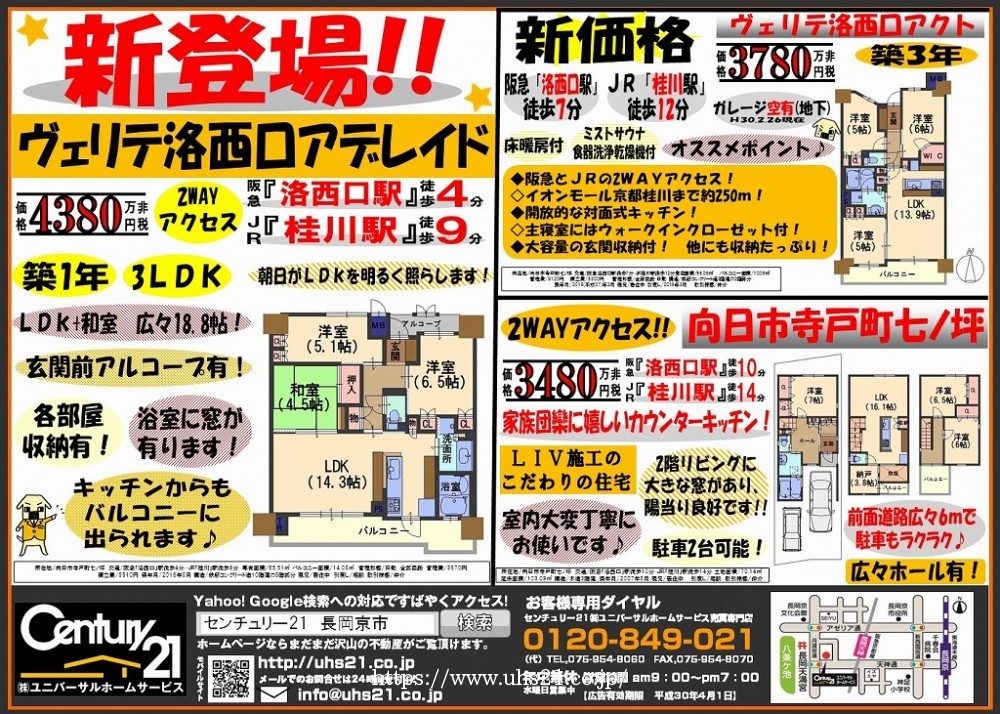 2018年3月3日折込み広告