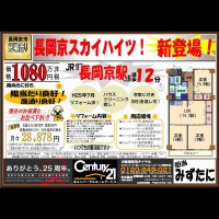 2018年5月17日広告