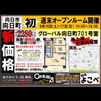 2018年6月15日広告