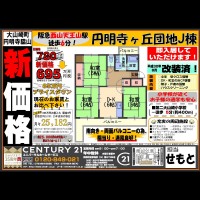 2019年3月25日広告