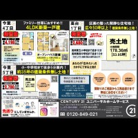 新登場＆新価格特集！